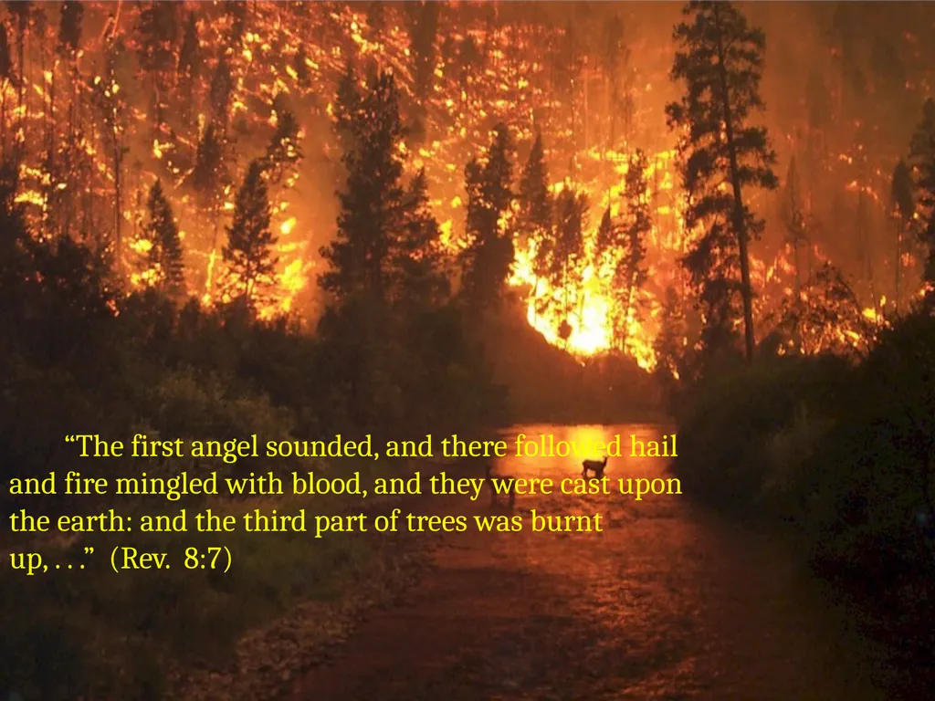 Revelation Chapter 8 The Seventh Seal Judgment - slide 6 of 11