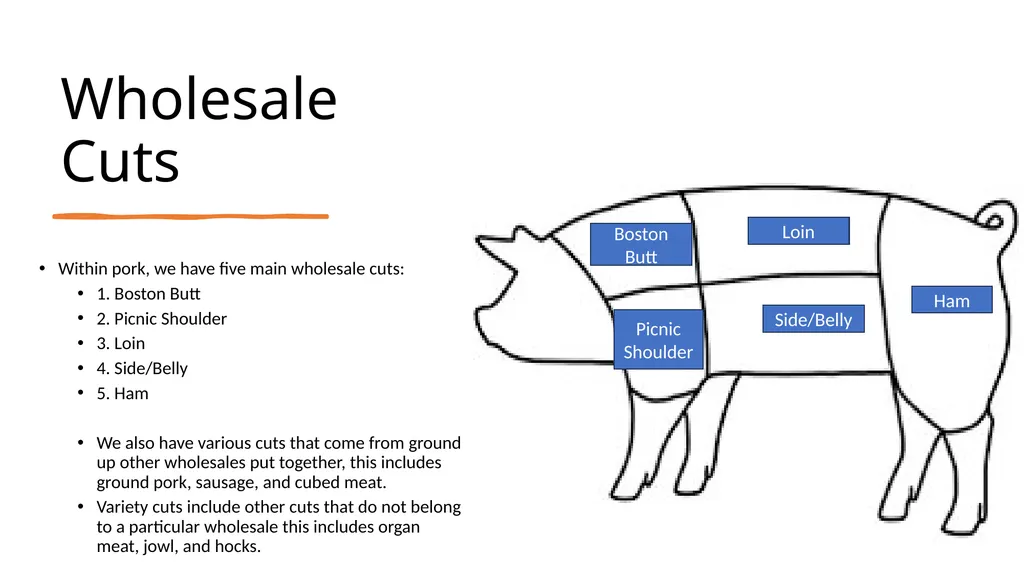 2023 Swine Meat Identification National Junior - slide 5 of 42