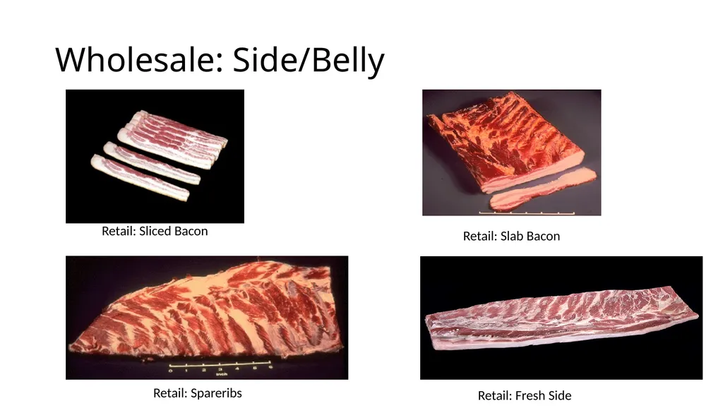 2023 Swine Meat Identification National Junior - slide 21 of 42