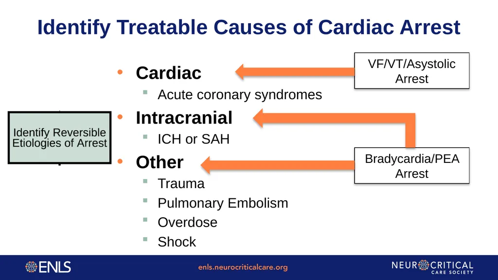ENLS Version 5.0 Resuscitation Following Cardiac - slide 8 of 34