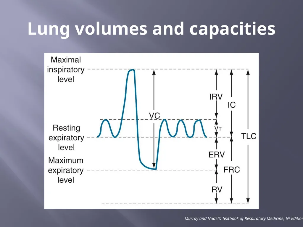 PFT Interpretation Darrin Hursey, MD Overview - slide 5 of 20