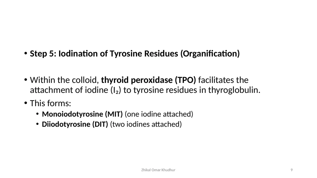 Thyroid gland Zhikal O. Khudhur Endocrinology BIO - slide 9 of 23