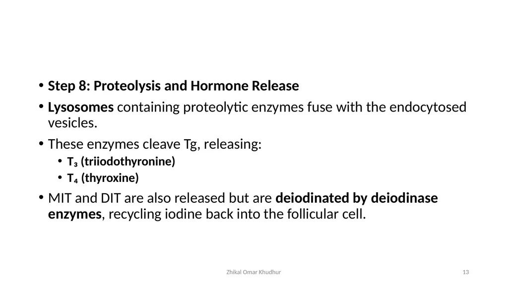 Thyroid gland Zhikal O. Khudhur Endocrinology BIO - slide 13 of 23