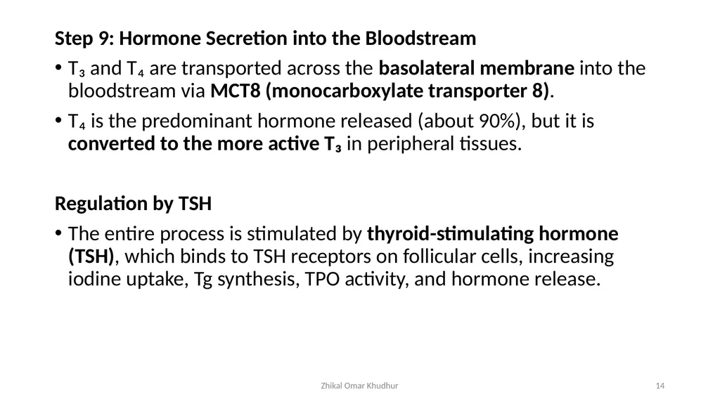 Thyroid gland Zhikal O. Khudhur Endocrinology BIO - slide 14 of 23