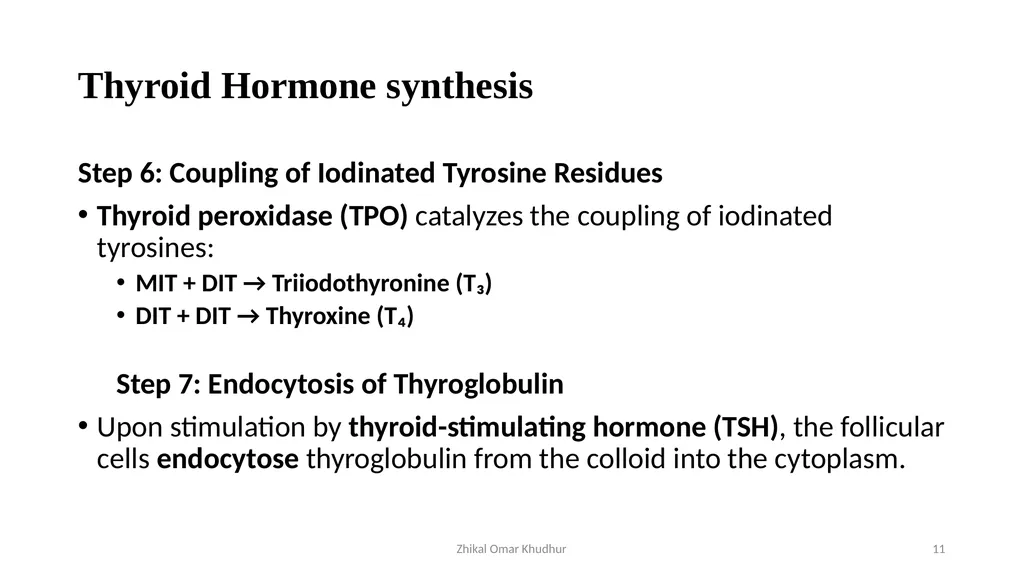 Thyroid gland Zhikal O. Khudhur Endocrinology BIO - slide 11 of 23