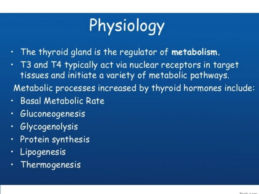 THYROID GLAND-part 1 DR. SHEETAL JAIN Thyroid - slide 14 of 18