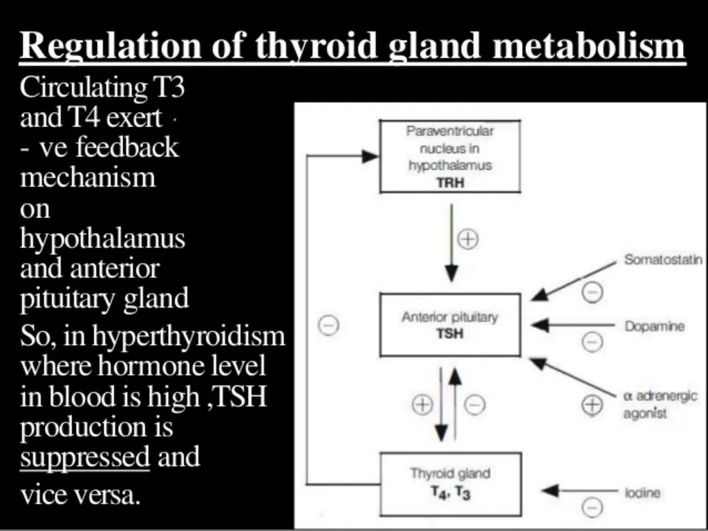 THYROID GLAND-part 1 DR. SHEETAL JAIN Thyroid - slide 17 of 18