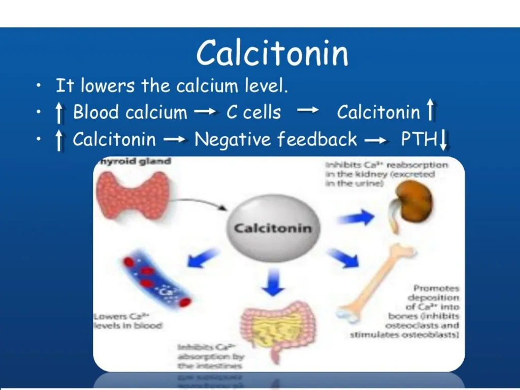 THYROID GLAND –part 3 disorders DR. SHEETAL JAIN - slide 6 of 40