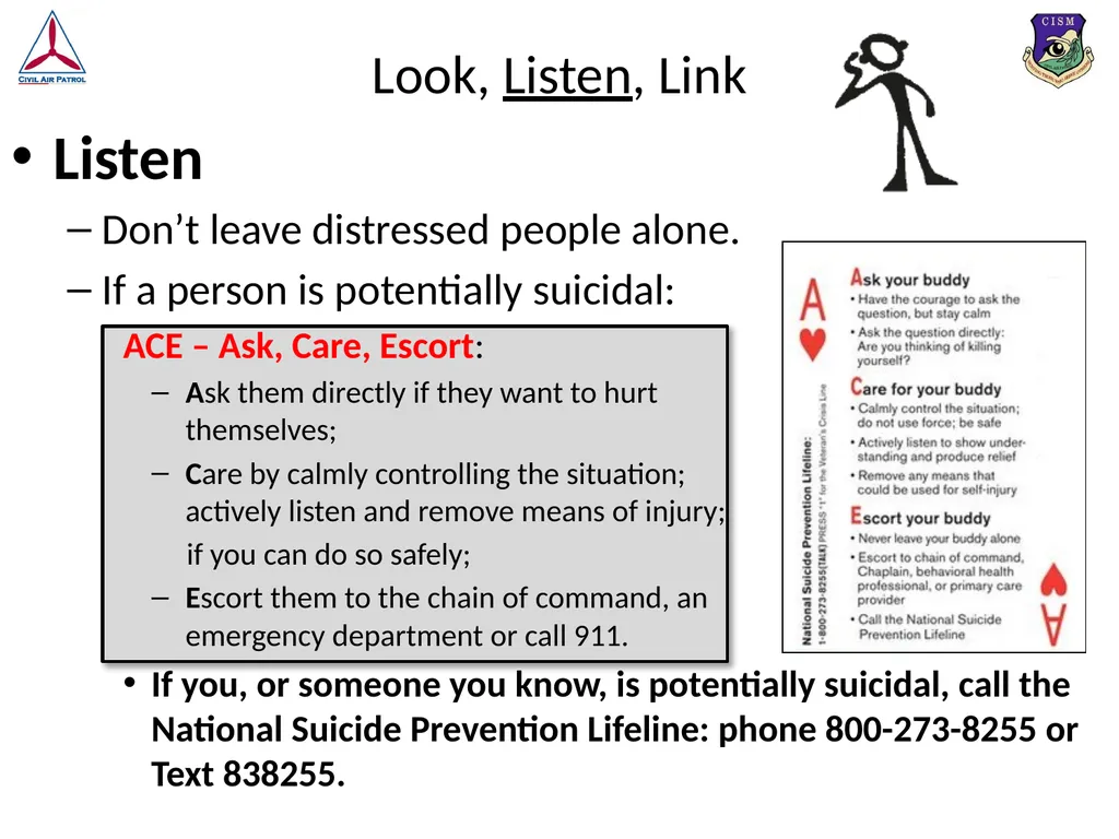Look, Listen, and Link (LLL) Basic Psychological - slide 16 of 37
