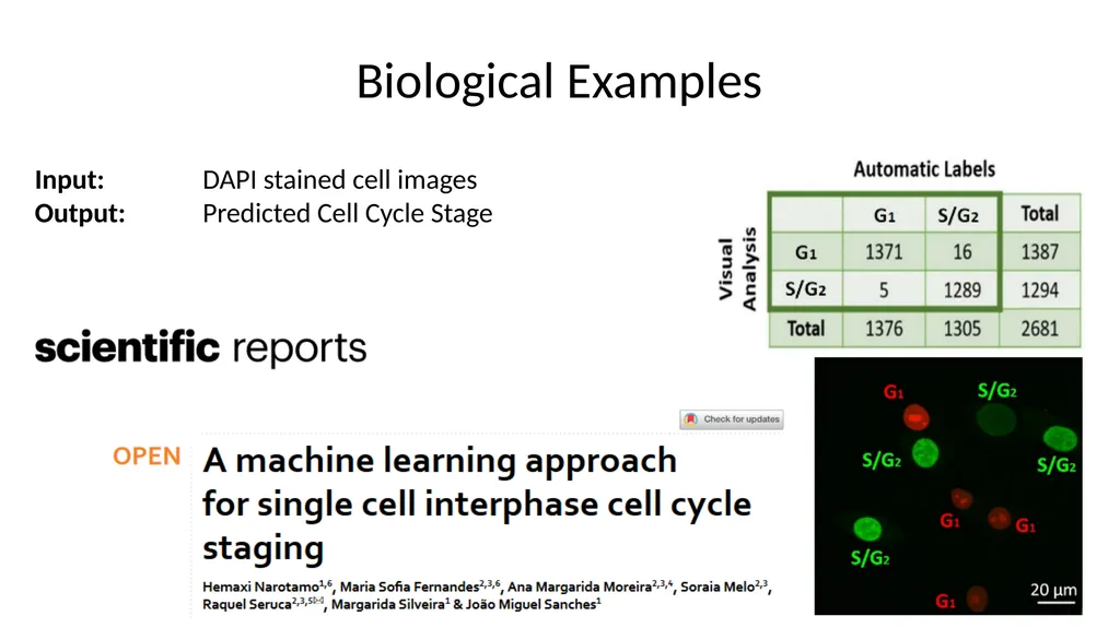 Introduction to Machine Learning Hayley Carr, - slide 7 of 124