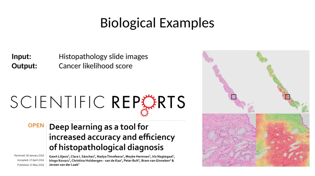 Introduction to Machine Learning Hayley Carr, - slide 8 of 124