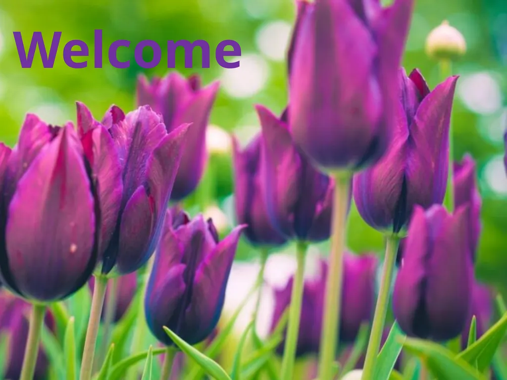 Welcome Easter Flowers—Today is the last day to - slide 1 of 23
