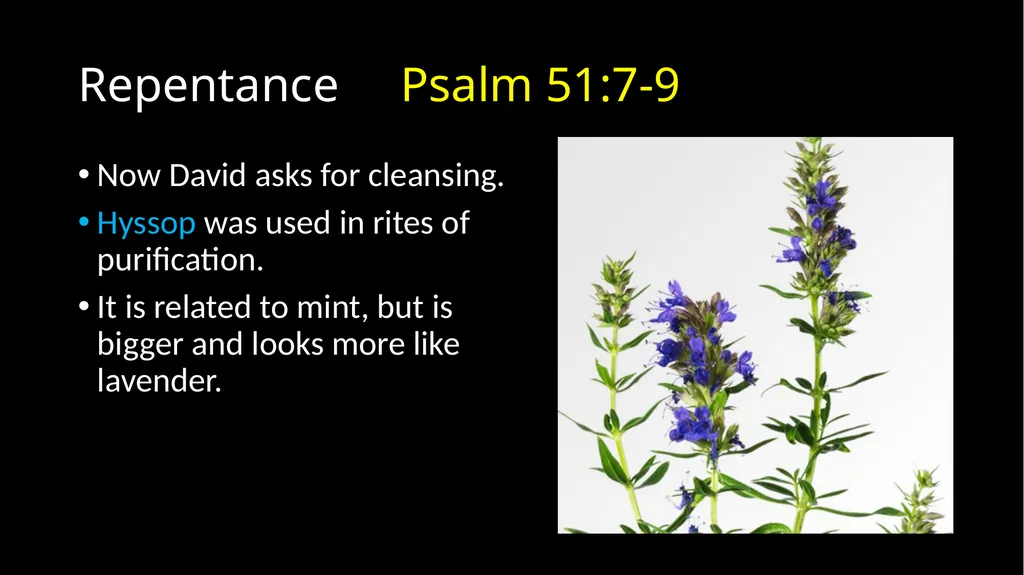 Repentance Psalm 51 Repentance Introduction - slide 20 of 44