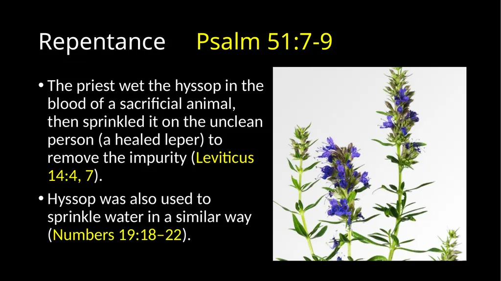 Repentance Psalm 51 Repentance Introduction - slide 21 of 44