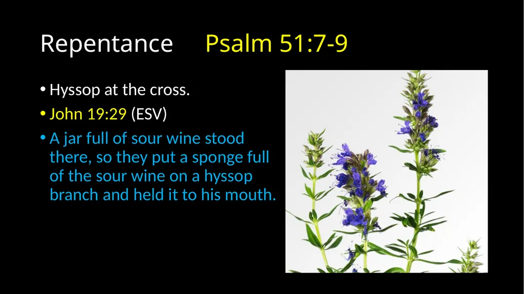Repentance Psalm 51 Repentance Introduction - slide 22 of 44