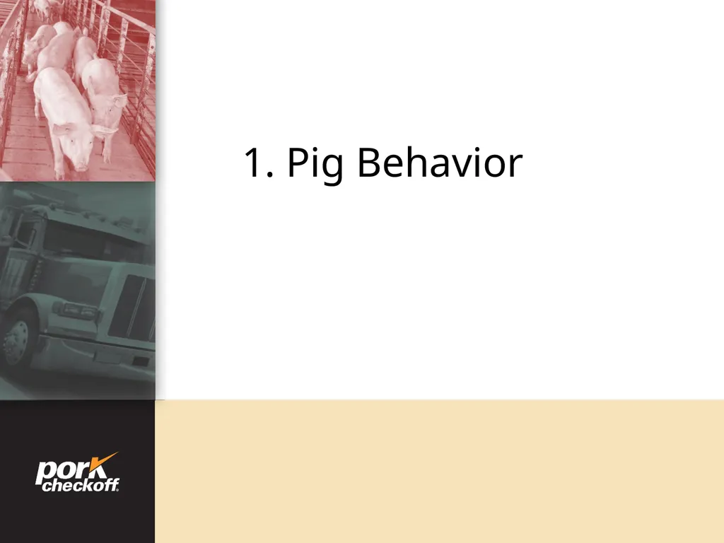 Pig Behavior Handling Fitness of Pig ! Section - slide 5 of 53
