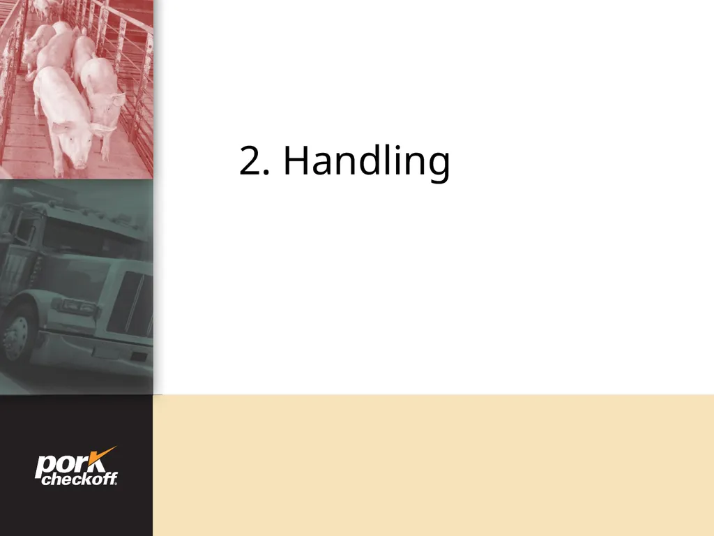 Pig Behavior Handling Fitness of Pig ! Section - slide 29 of 53