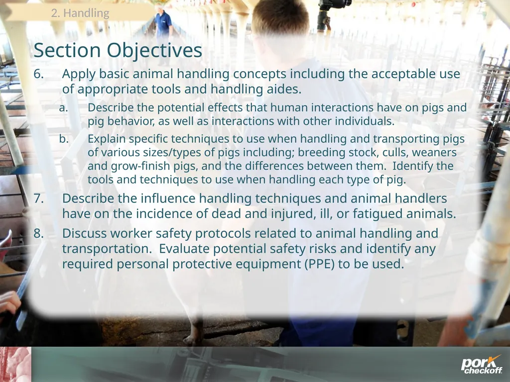 Pig Behavior Handling Fitness of Pig ! Section - slide 30 of 53