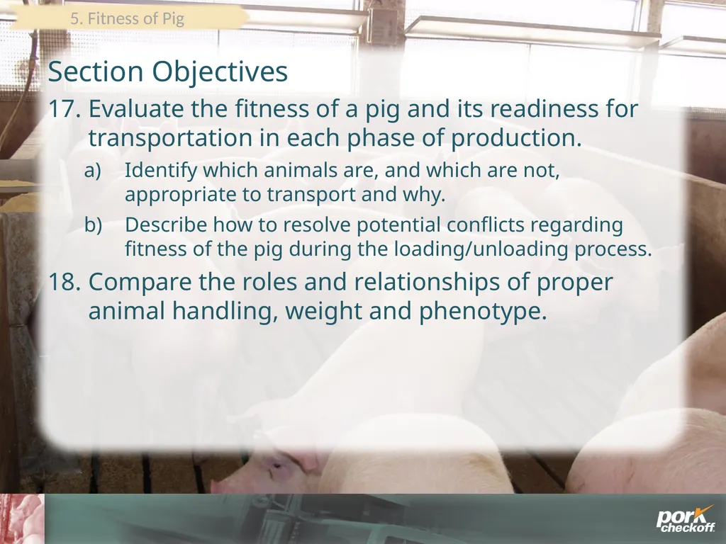 Pig Behavior Handling Fitness of Pig ! Section - slide 44 of 53