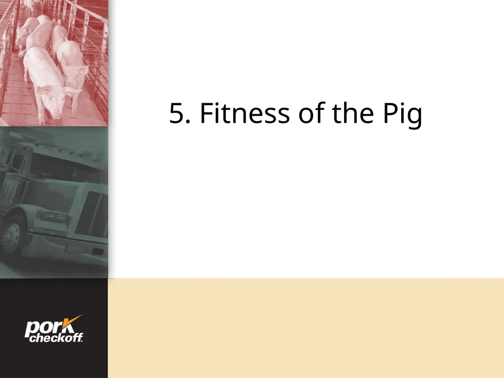 Pig Behavior Handling Fitness of Pig ! Section - slide 43 of 53