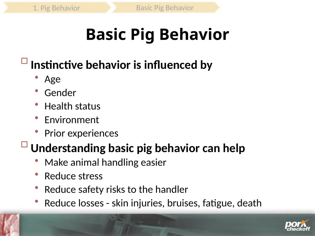 Pig Behavior Handling Fitness of Pig ! Section - slide 7 of 53