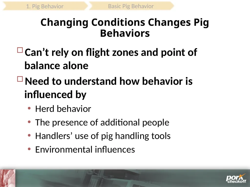Pig Behavior Handling Fitness of Pig ! Section - slide 13 of 53