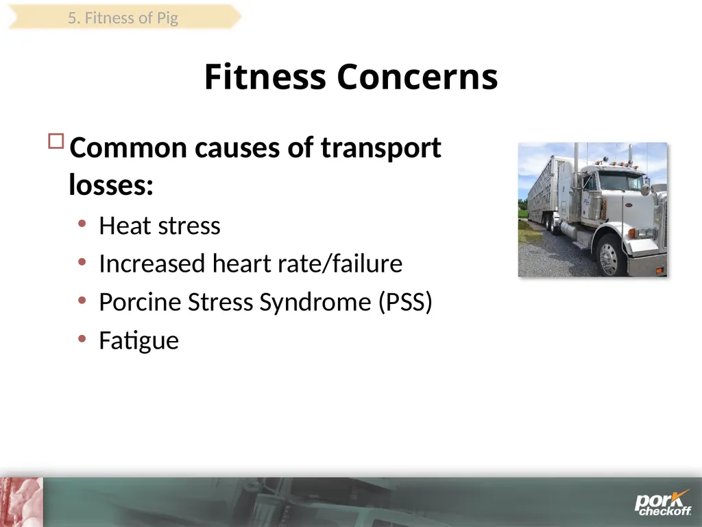 Pig Behavior Handling Fitness of Pig ! Section - slide 47 of 53