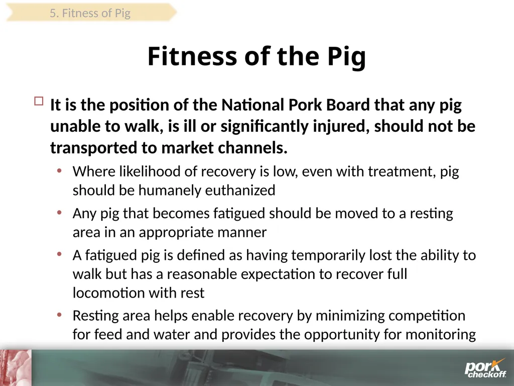 Pig Behavior Handling Fitness of Pig ! Section - slide 45 of 53