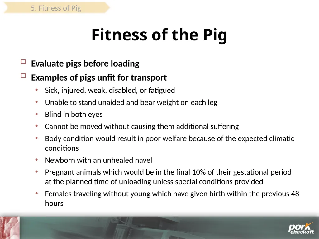 Pig Behavior Handling Fitness of Pig ! Section - slide 46 of 53