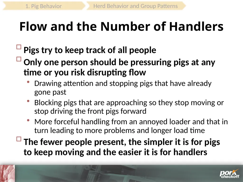 Pig Behavior Handling Fitness of Pig ! Section - slide 23 of 53