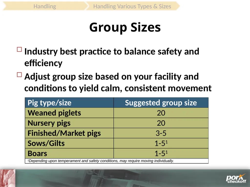 Pig Behavior Handling Fitness of Pig ! Section - slide 37 of 53