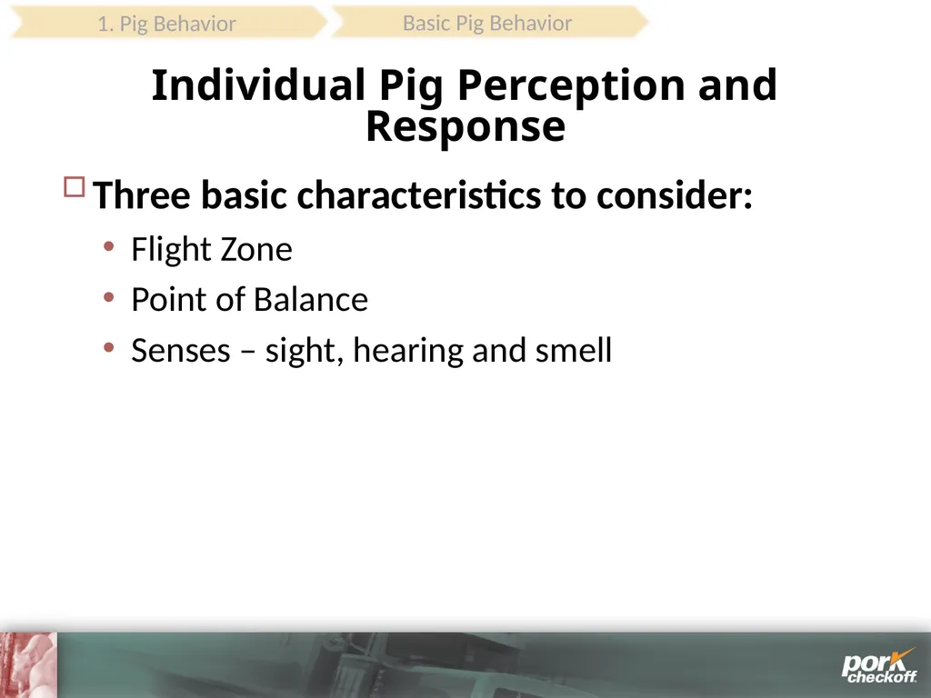 Pig Behavior Handling Fitness of Pig ! Section - slide 8 of 53