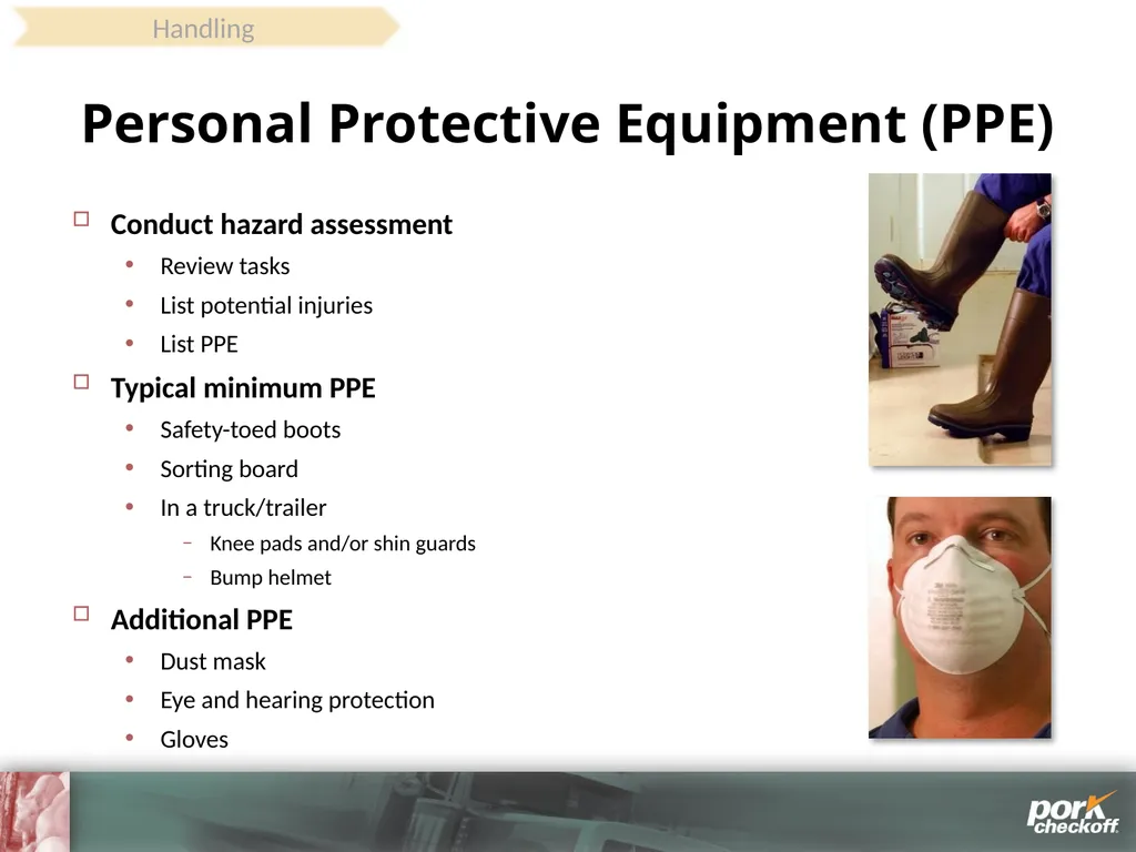 Pig Behavior Handling Fitness of Pig ! Section - slide 41 of 53