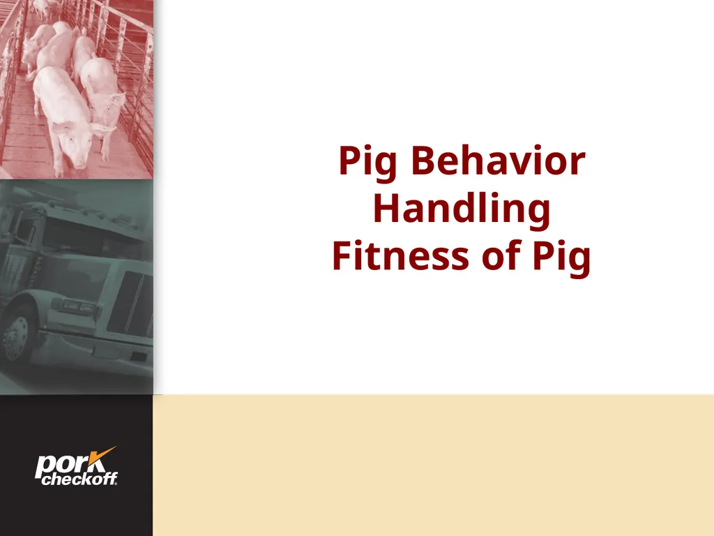 Pig Behavior Handling Fitness of Pig ! Section - slide 1 of 53