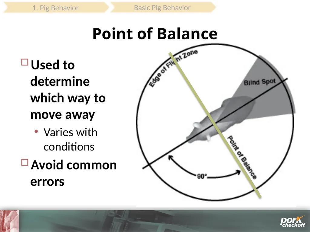 Pig Behavior Handling Fitness of Pig ! Section - slide 10 of 53