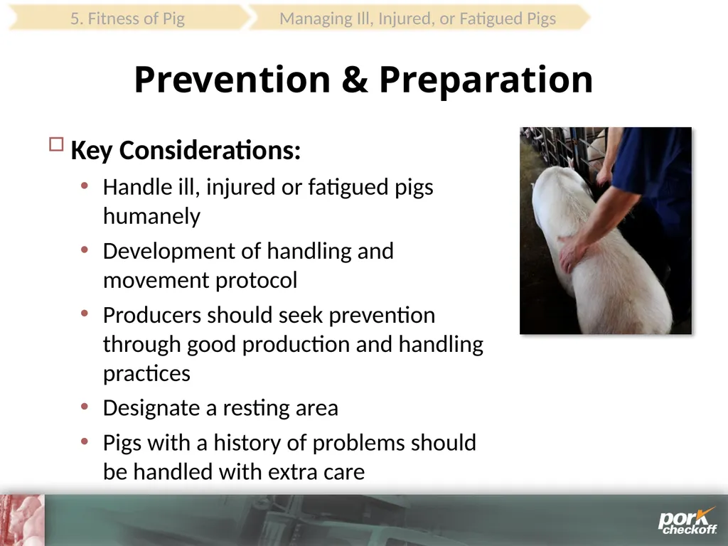Pig Behavior Handling Fitness of Pig ! Section - slide 50 of 53