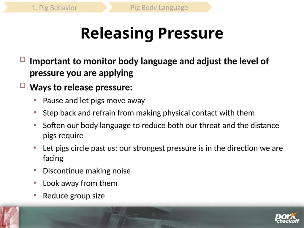 Pig Behavior Handling Fitness of Pig ! Section - slide 15 of 53
