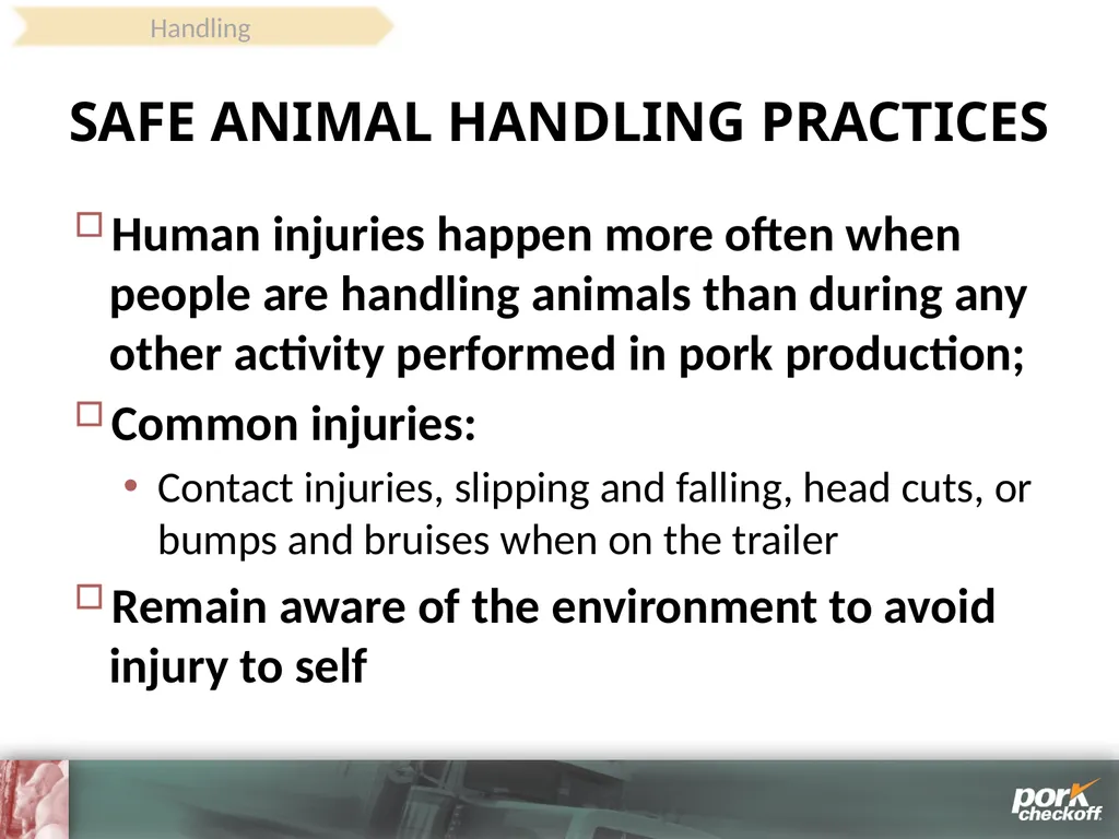 Pig Behavior Handling Fitness of Pig ! Section - slide 40 of 53
