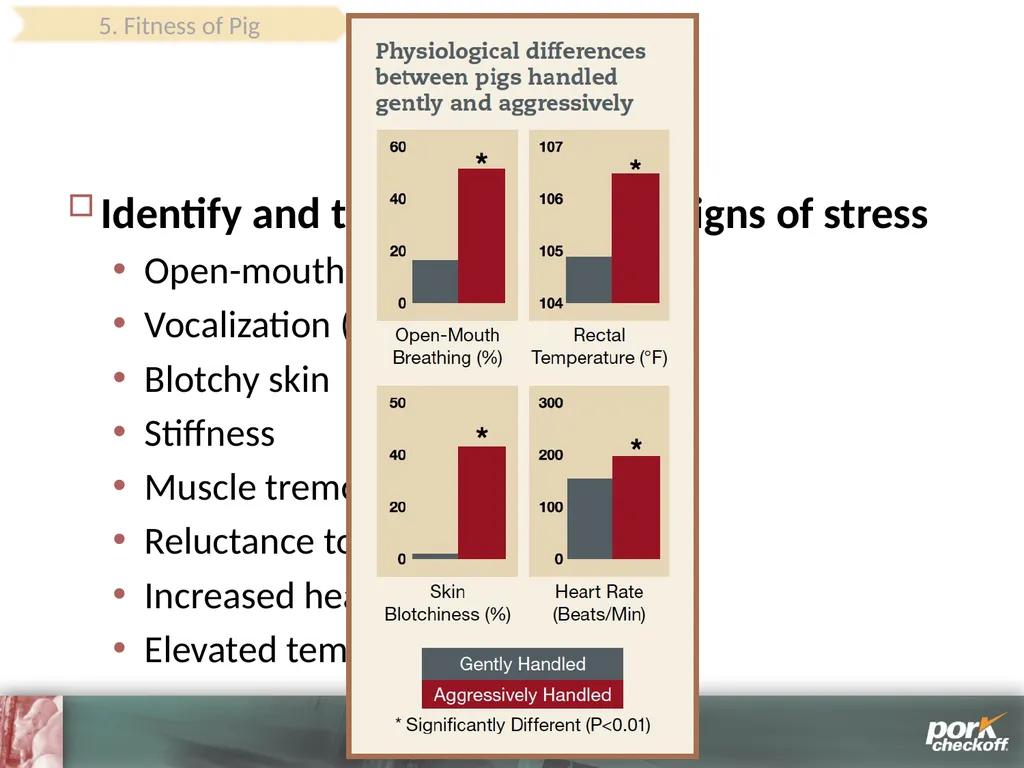 Pig Behavior Handling Fitness of Pig ! Section - slide 49 of 53