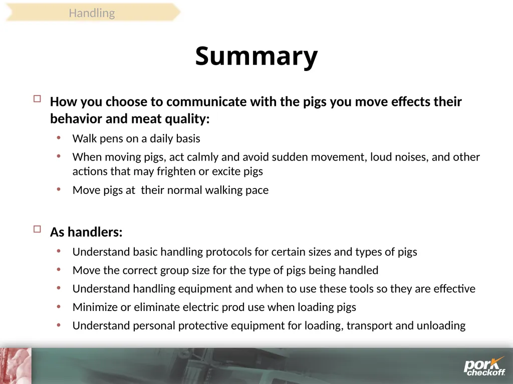 Pig Behavior Handling Fitness of Pig ! Section - slide 42 of 53