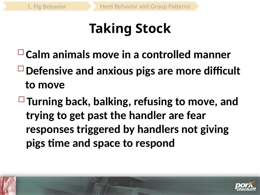 Pig Behavior Handling Fitness of Pig ! Section - slide 28 of 53