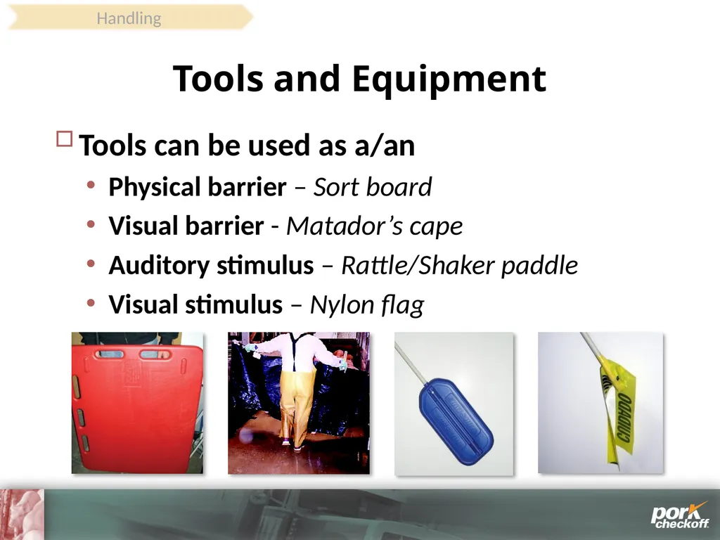 Pig Behavior Handling Fitness of Pig ! Section - slide 38 of 53