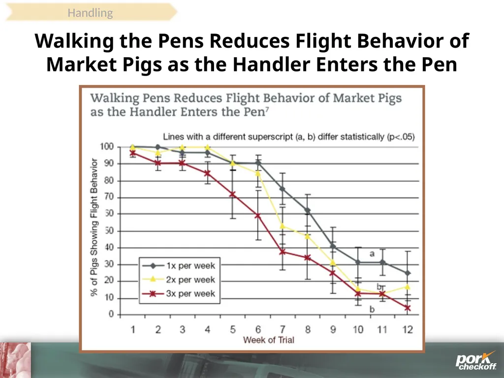 Pig Behavior Handling Fitness of Pig ! Section - slide 32 of 53