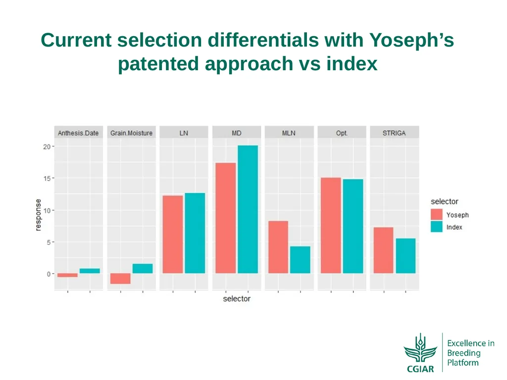 Bringing a selection index into the CIMMYT-Maize - slide 9 of 21