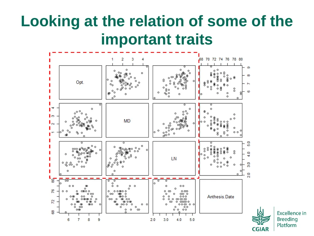 Bringing a selection index into the CIMMYT-Maize - slide 7 of 21