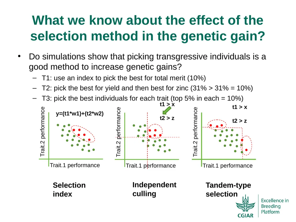 Bringing a selection index into the CIMMYT-Maize - slide 3 of 21