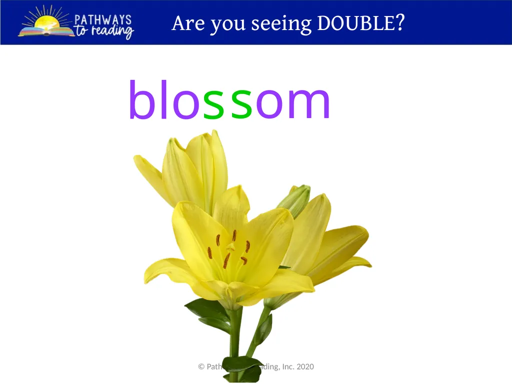 Unit 10, Power Point 2 double consonants strategy - slide 7 of 17