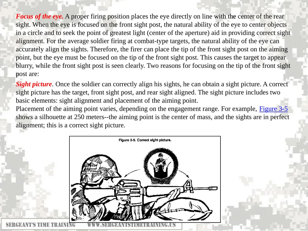 Preliminary Marksmanship Instruction M4 RIFLE - slide 18 of 26