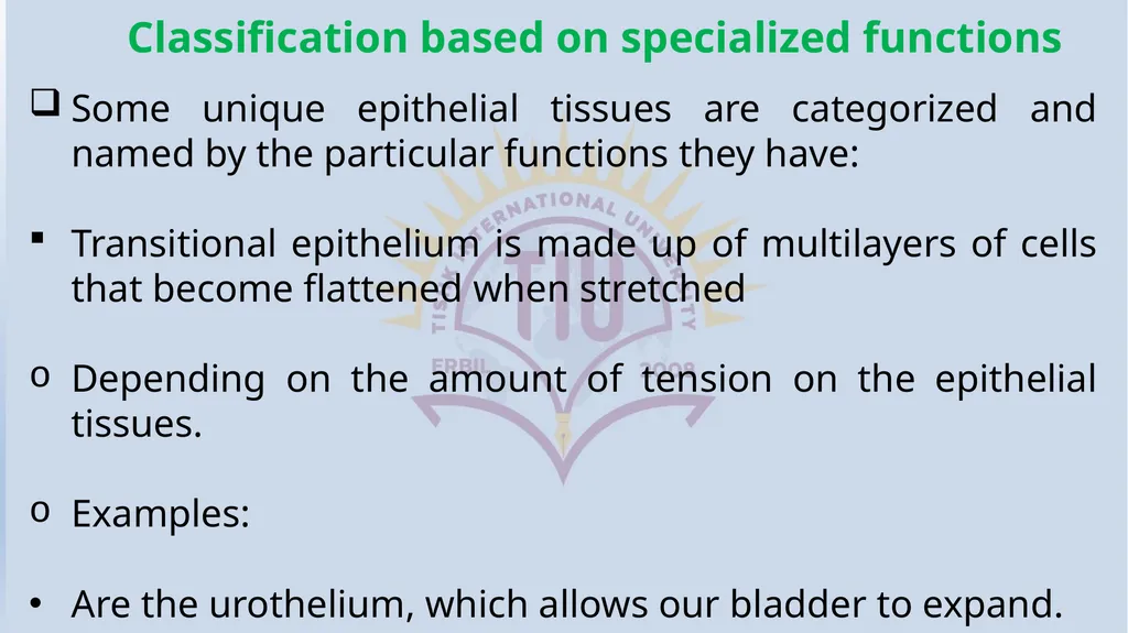 Lecturer name: Dr. Jibril H. Yusuf - slide 11 of 32
