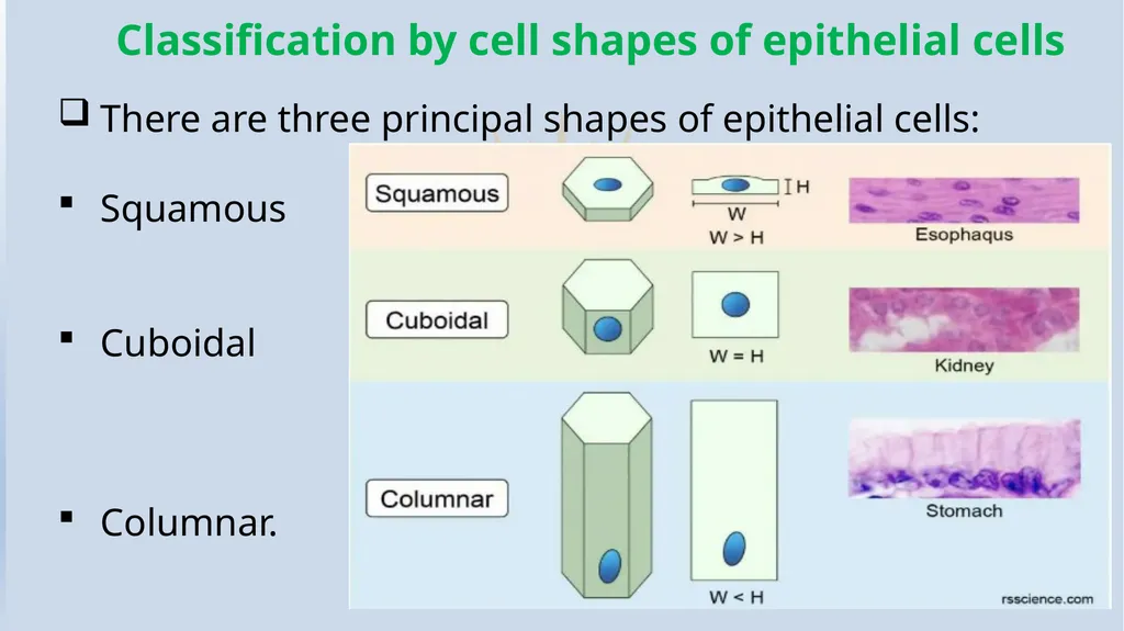 Lecturer name: Dr. Jibril H. Yusuf - slide 4 of 32